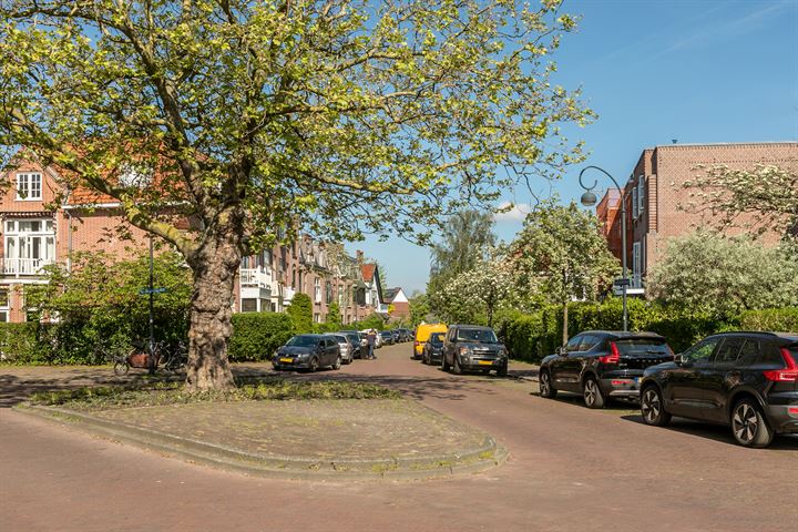 Bekijk foto 42 van Vredenhofstraat 8