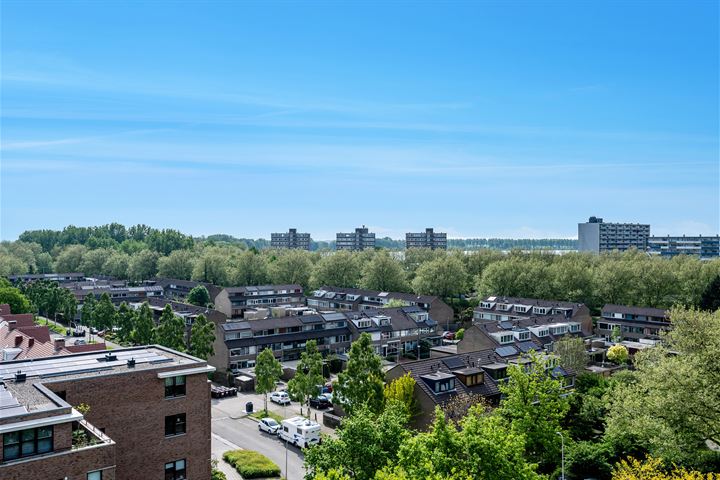 Bekijk foto 12 van Wederikstraat 101