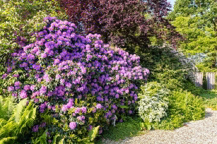 Foto 32 van Kerkakkers 13