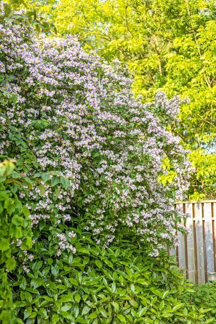 Foto 33 van Kerkakkers 13