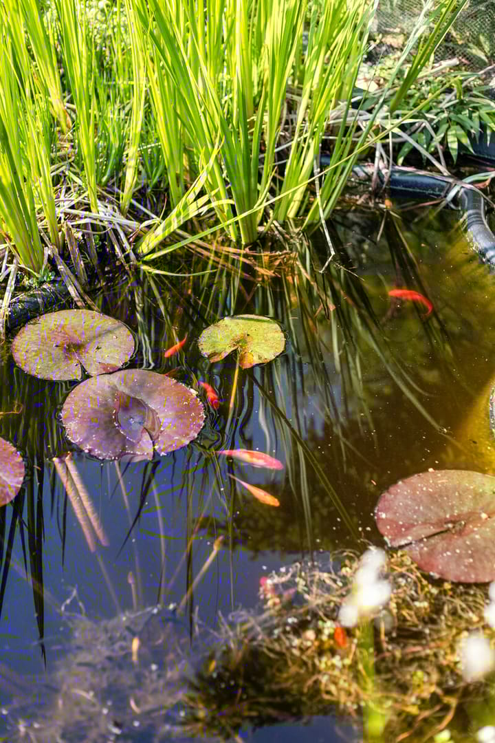 Foto 34 van Kerkakkers 13