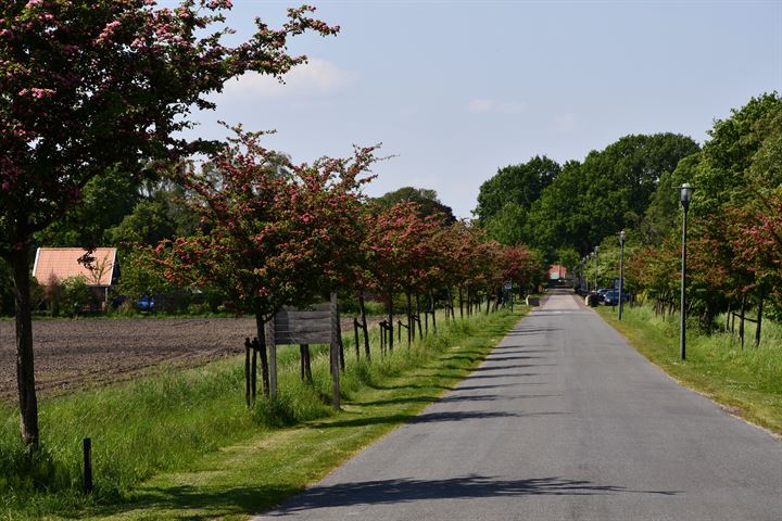 Bekijk foto 30 van Lijnbaan 4