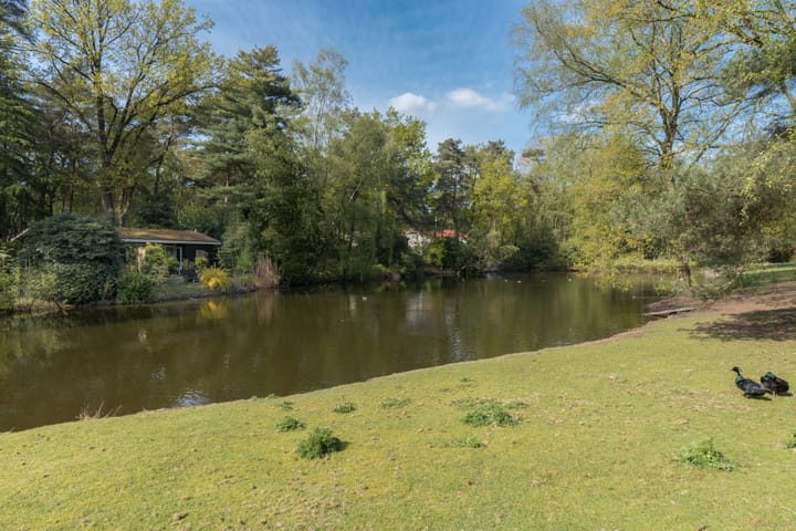 Foto 3 van Kievit 12-B211