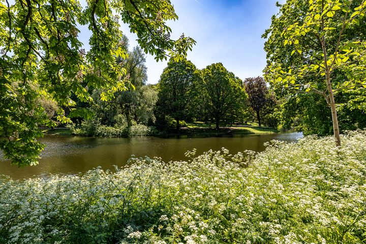 Bekijk foto 16 van Noorderbuitensingel 7