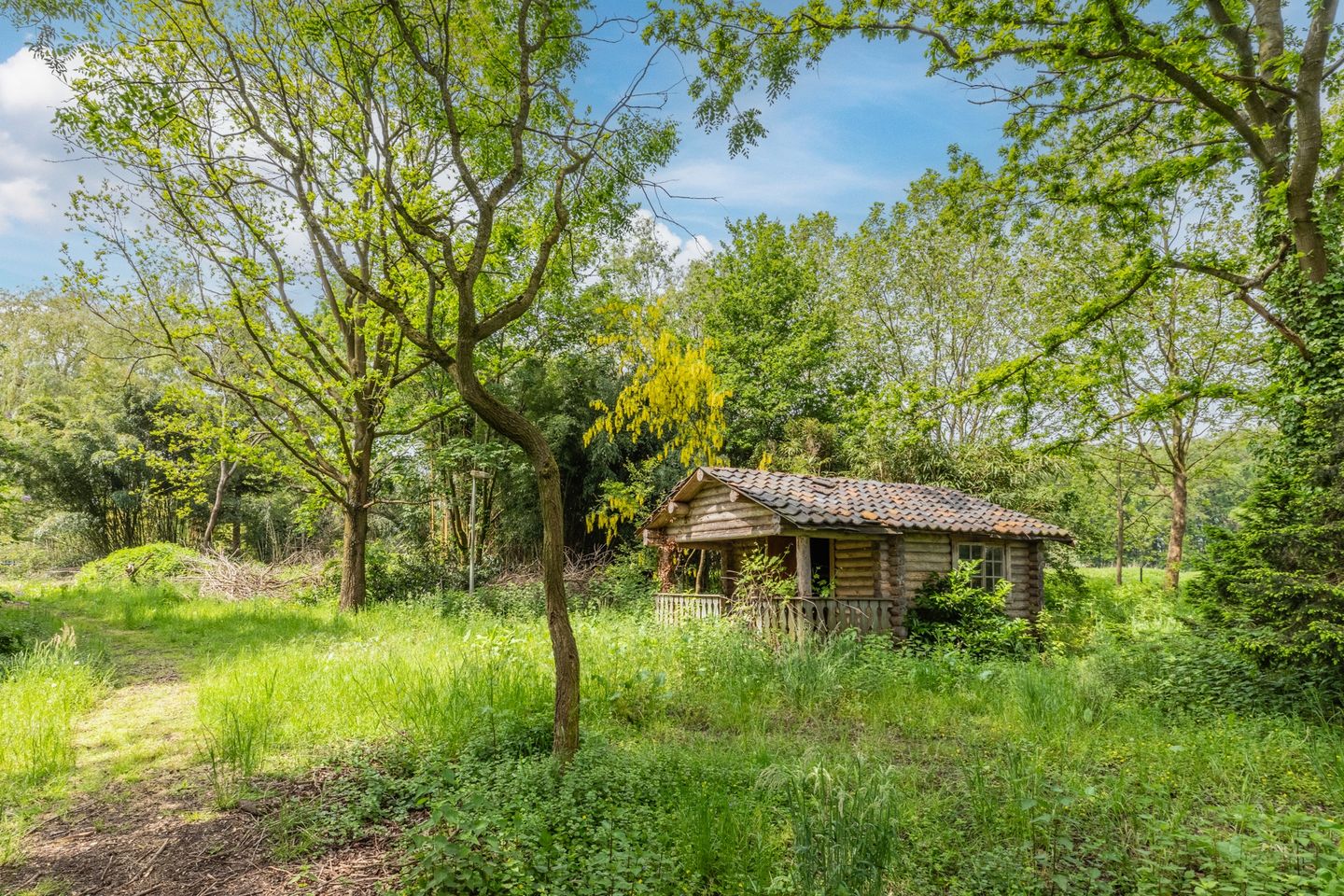 Foto 4 van Hooijdonk 7