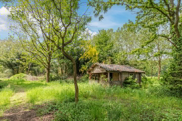 Foto 4 van Hooijdonk 7