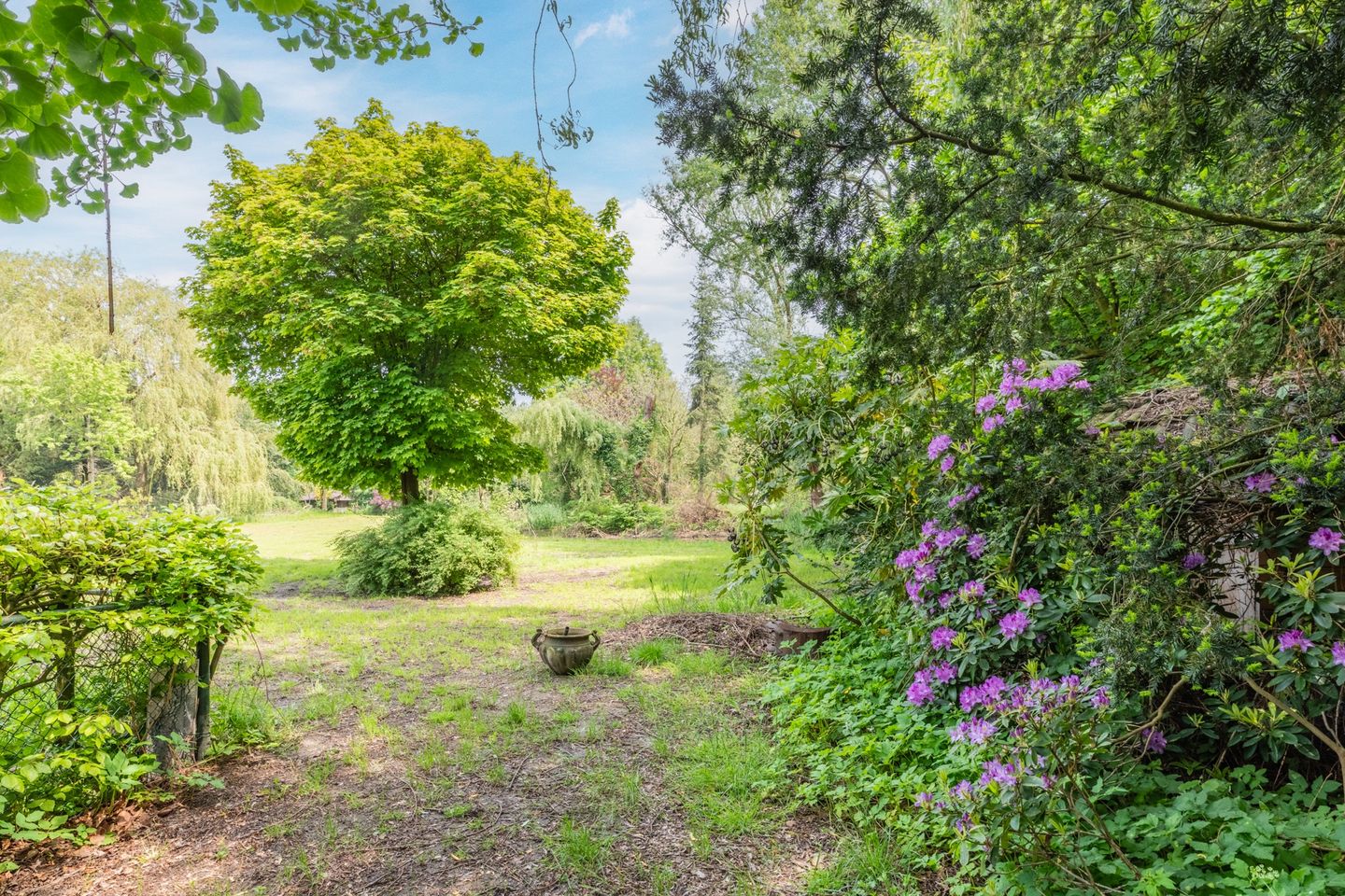 Foto 40 van Hooijdonk 7