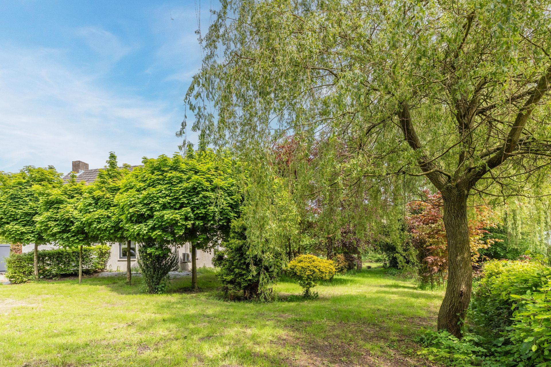 Foto 39 van Hooijdonk 7