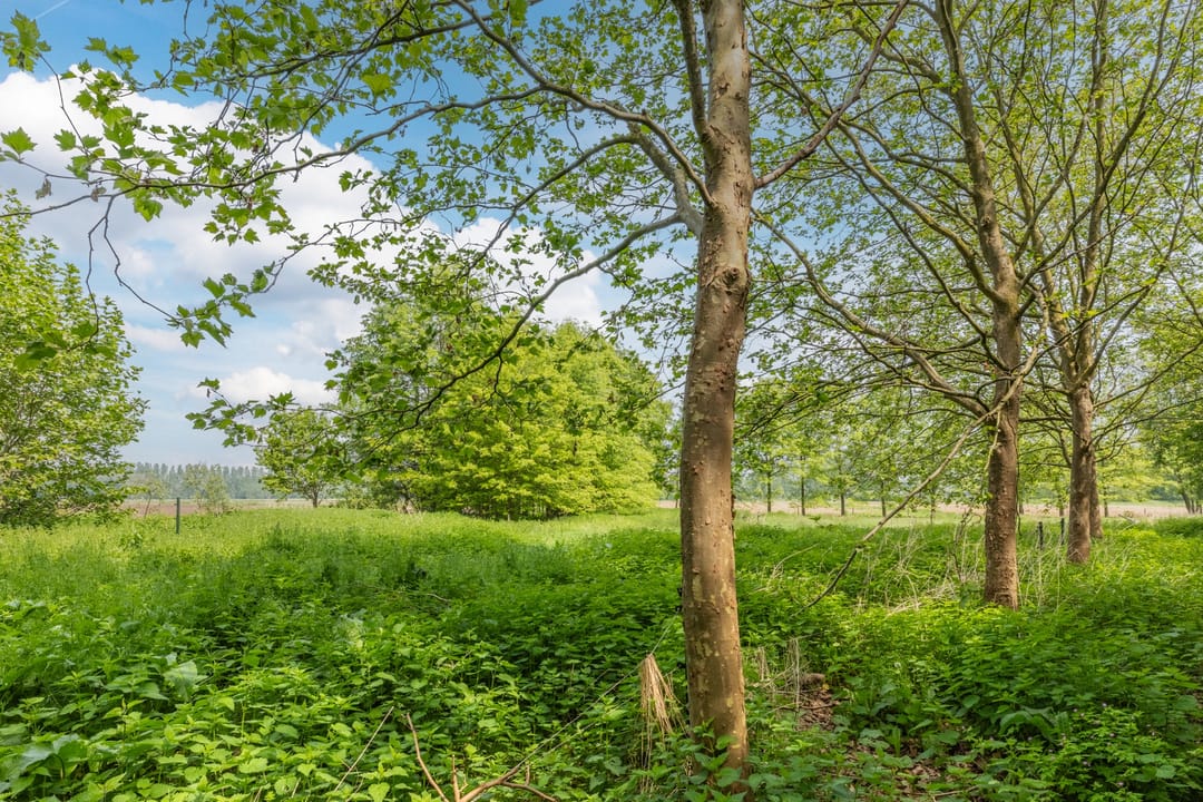 Foto 41 van Hooijdonk 7