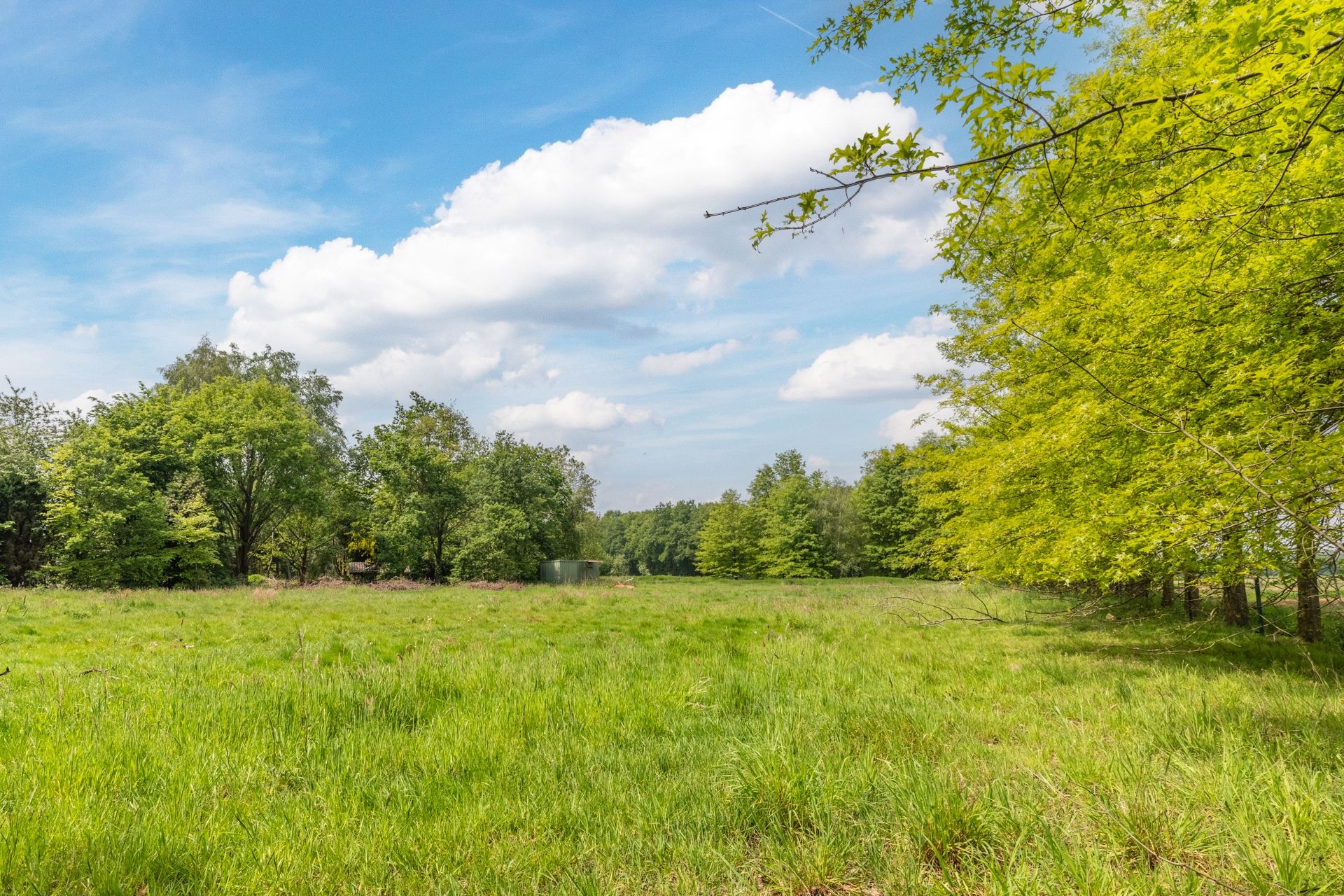 Foto 42 van Hooijdonk 7