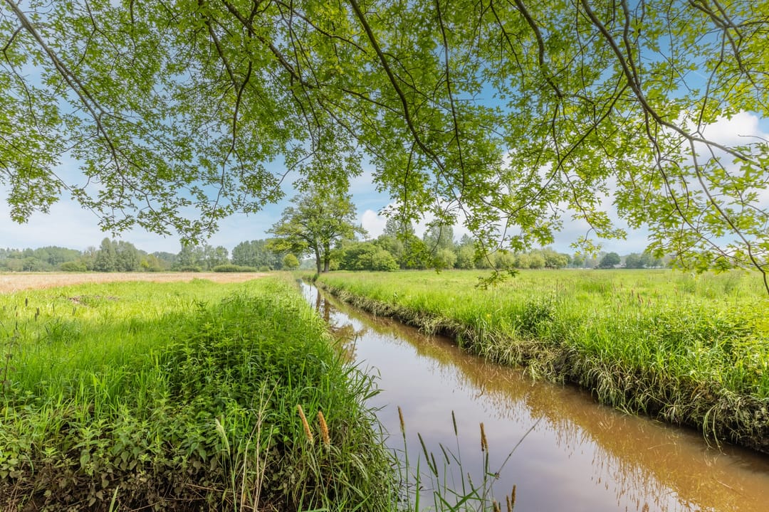 Foto 43 van Hooijdonk 7