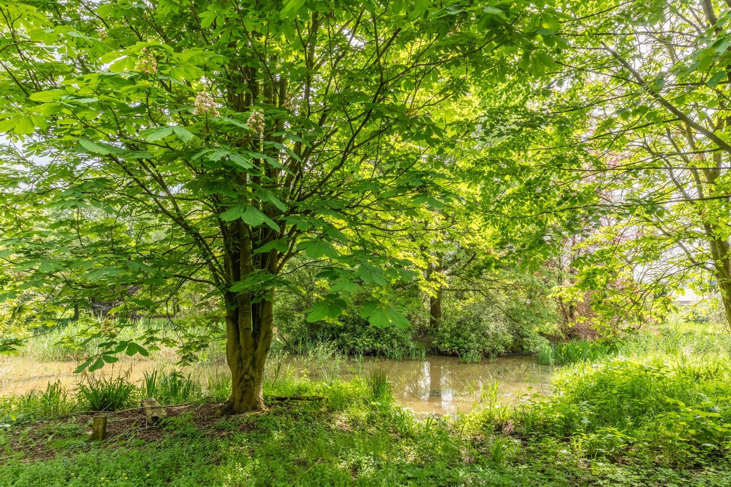 Foto 44 van Hooijdonk 7