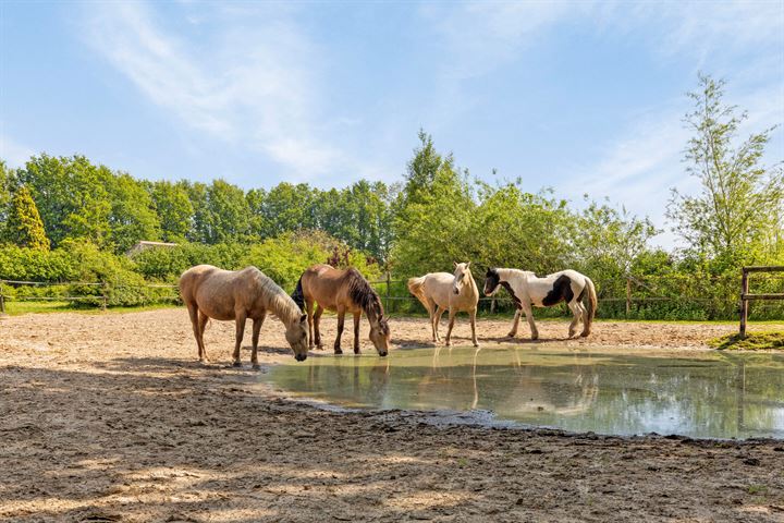 Bekijk foto 61 van Voortseweg 9