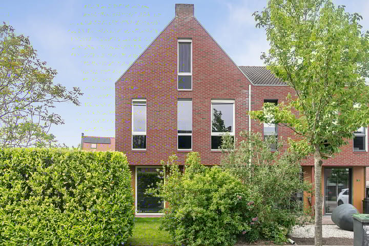 undefined main image