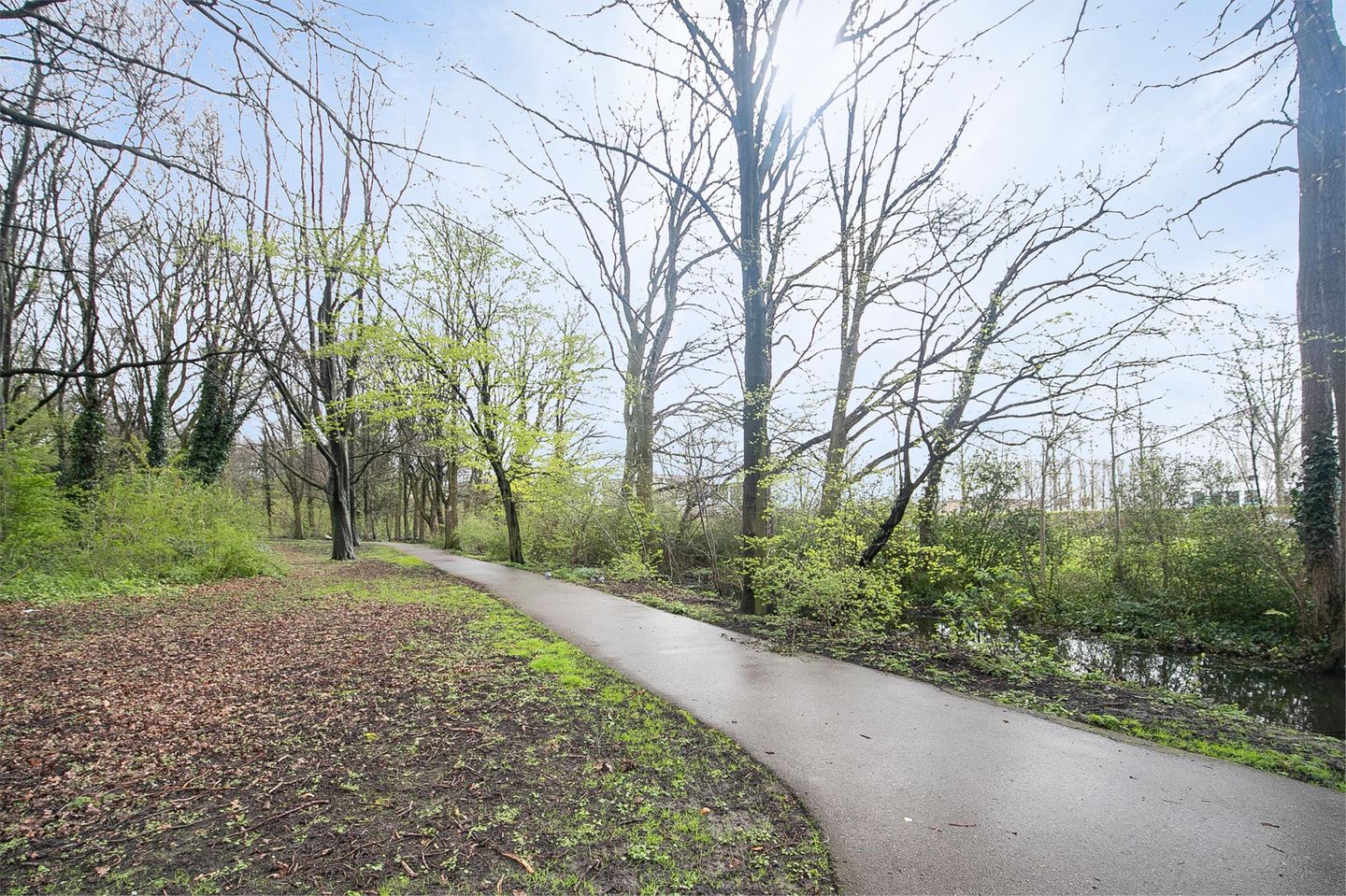 Foto 29 van Bosboomlaan 10-A