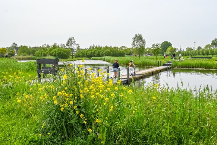 Bekijk foto 45 van Zuiderhaaks 33