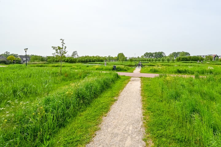 Bekijk foto 46 van Zuiderhaaks 33