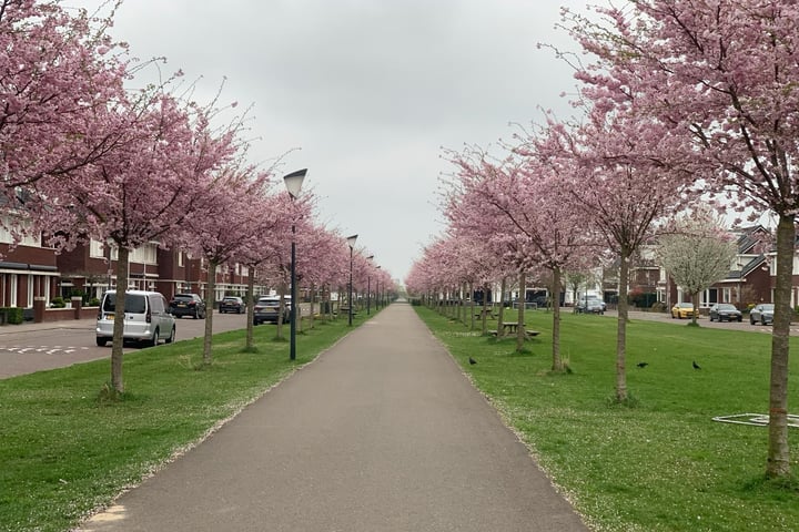 Bekijk foto 47 van Zuiderhaaks 33