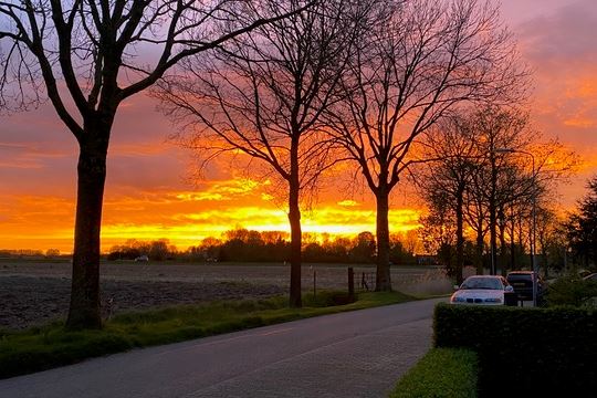 Bekijk foto 49 van Fazantenstraat 25