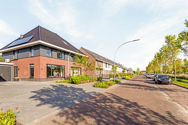 Bekijk foto 6 van Schweitzersingel 26-B