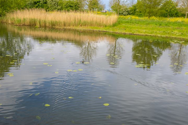 Bekijk foto 36 van De Milan Viscontilaan 222