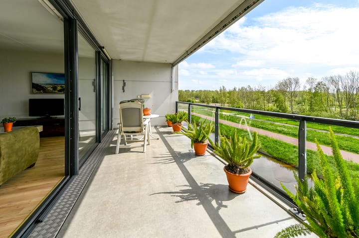 Foto 3 van L. Springerstraat 228