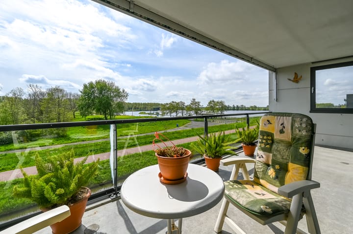 Foto 4 van L. Springerstraat 228