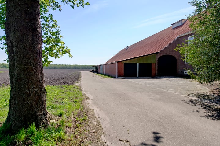 Bekijk foto 4 van Dorpsstraat 109