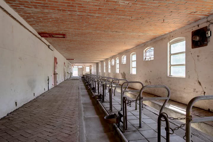 Photo 36 of Dorpsstraat 109