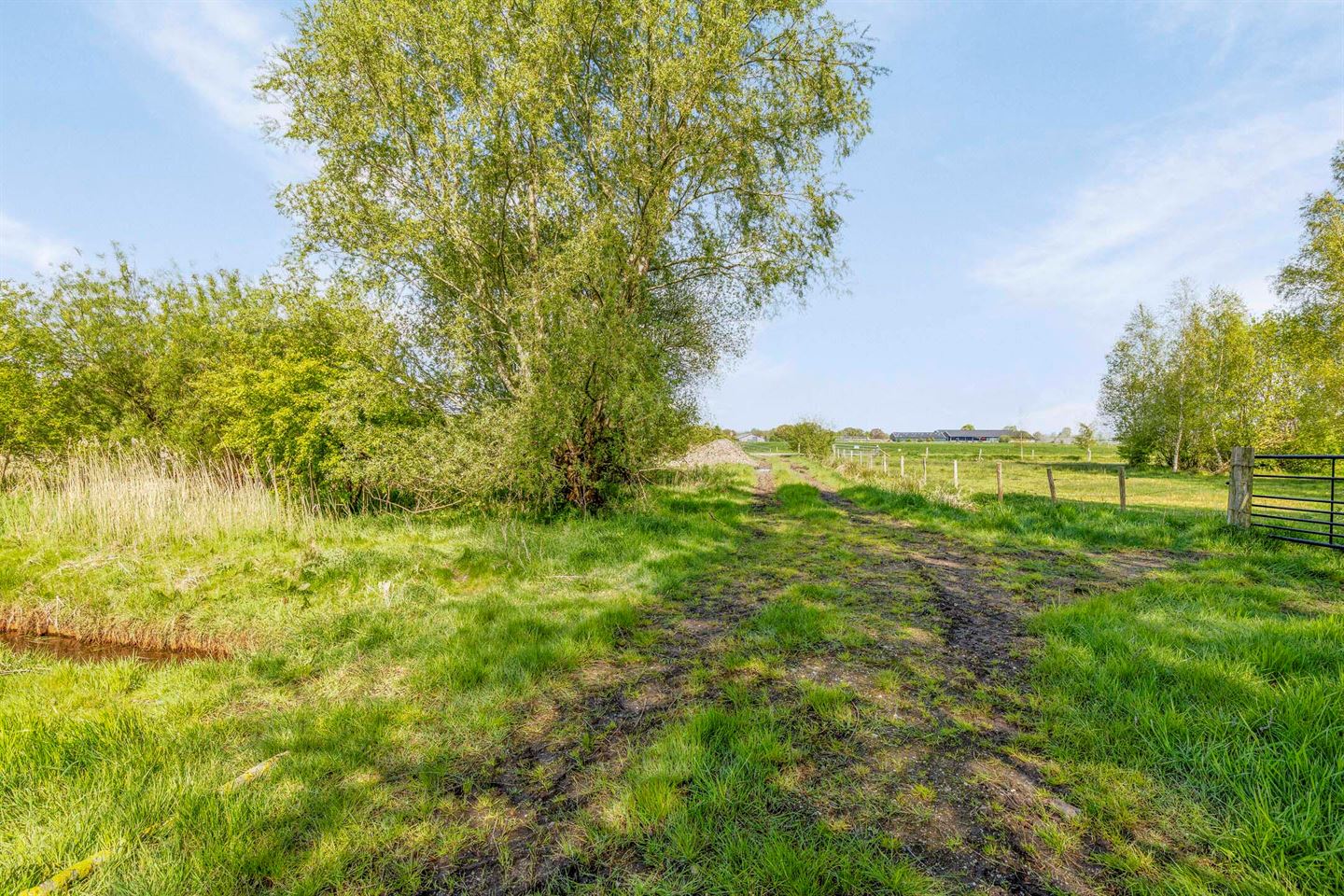 Bekijk foto 4 van Zilvensebroekweg