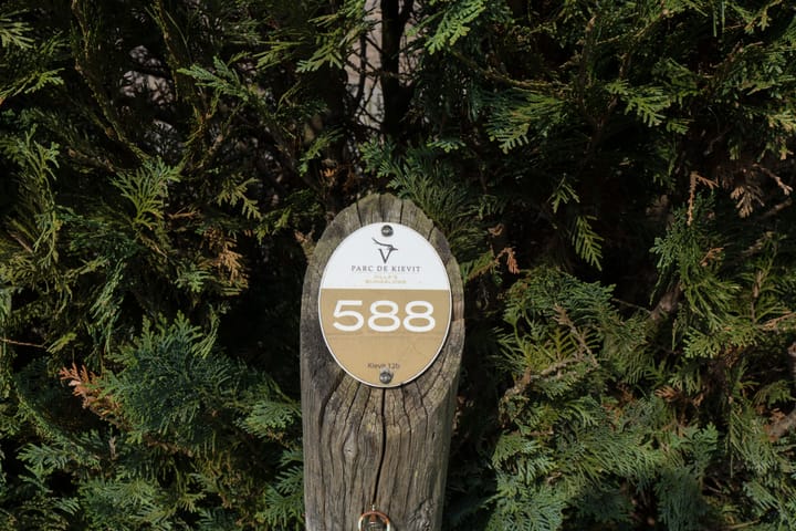 Foto 20 van Kievit 12-B588