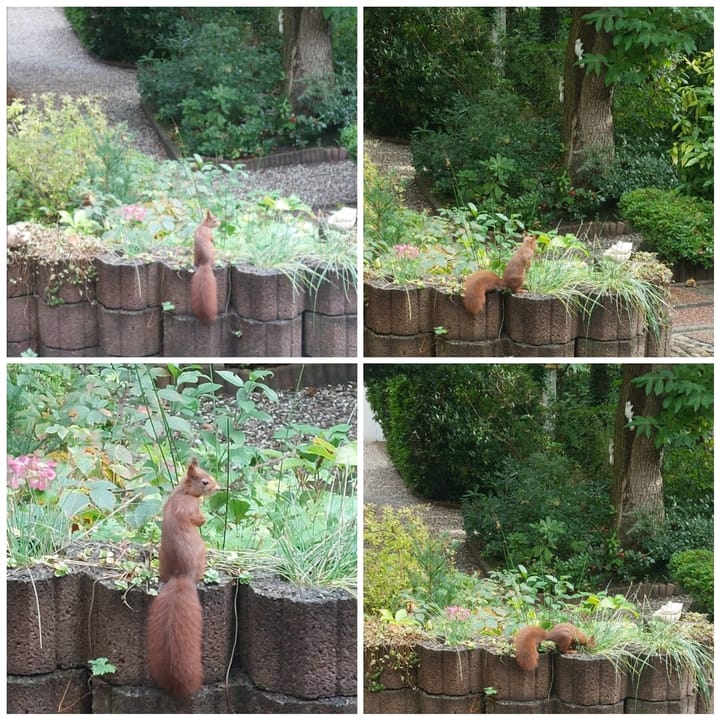 Foto 73 van Eperweg 85