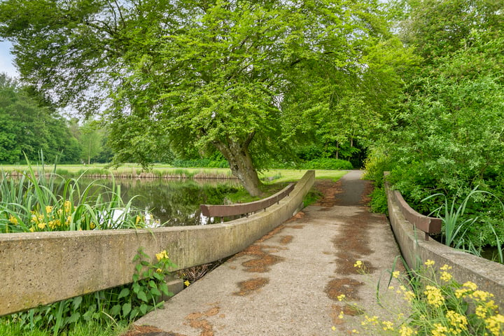 Bekijk foto 40 van Peppelweg 212