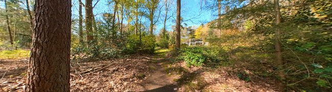 Bekijk 360° foto van Bos in tuin van Paasloweg 12