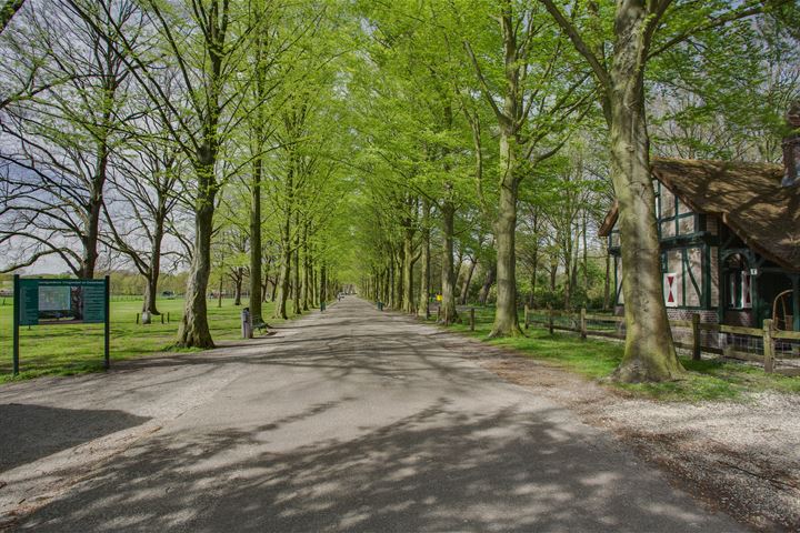 Bekijk foto 39 van Laan van Clingendael 27