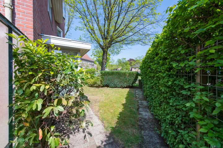 Foto 41 van Burgemeester Rauppstraat 6