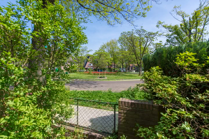 Foto 47 van Burgemeester Rauppstraat 6