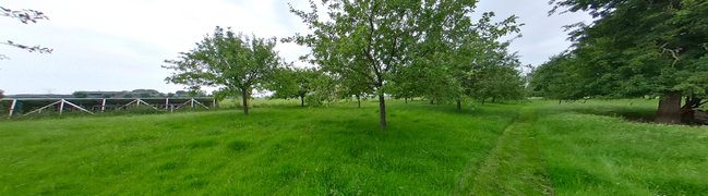 Bekijk 360° foto van Boomgaard van Kuilsestraat 1