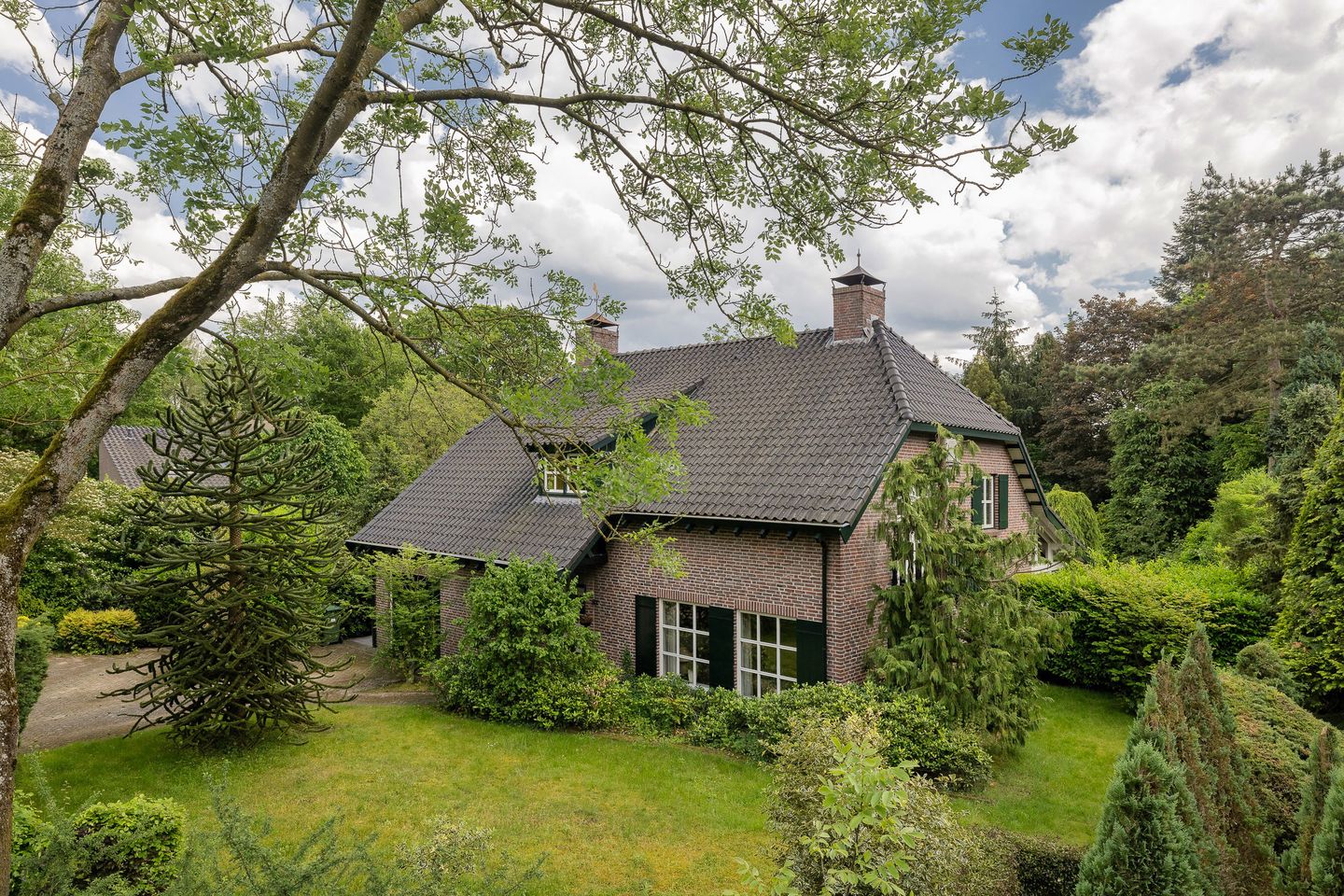 Foto 1 van Sporkehout 31