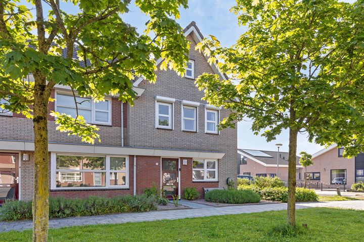 Bekijk foto 5 van Dr J C Homanstraat 51