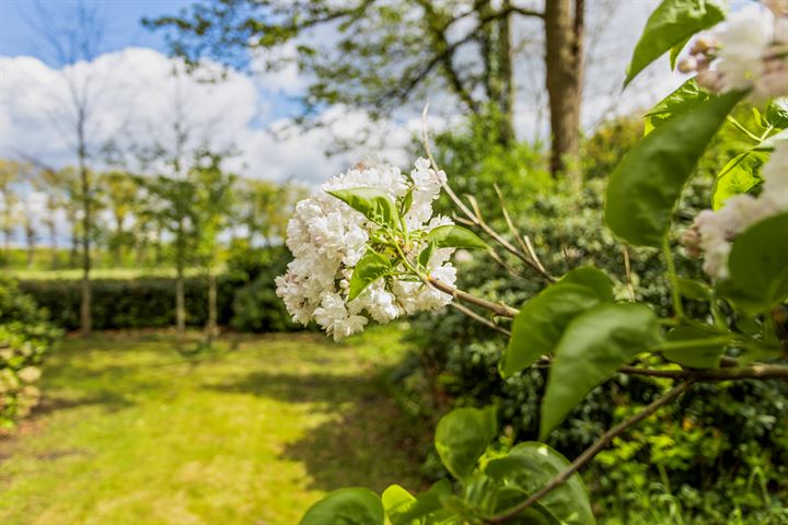 Bekijk foto 20 van Klembergerweg 18