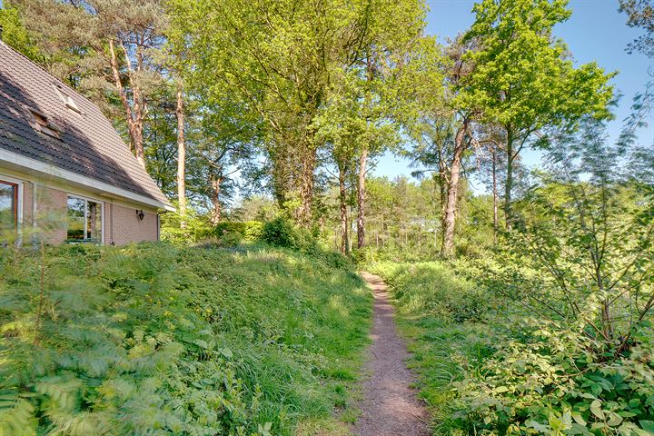 Bekijk foto 38 van Goudvinklaan 3