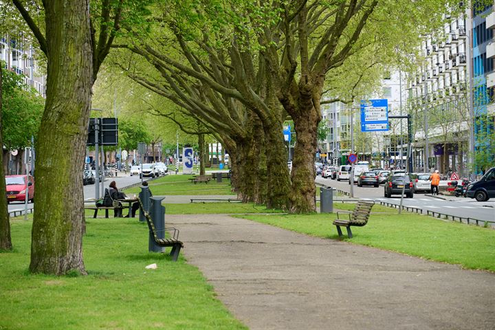 Bekijk foto 28 van Goudsesingel 133