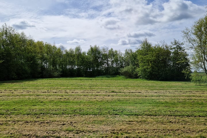 Bekijk foto 11 van Scherpbierseweg 14