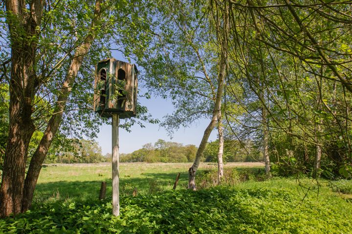 Bekijk foto 66 van Oosterweg 1