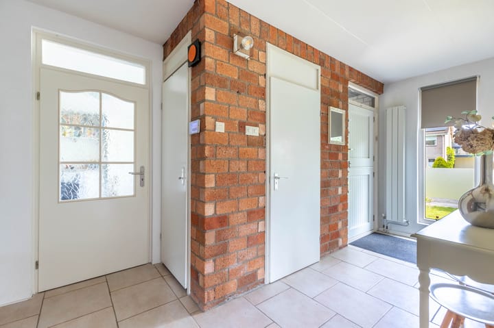 Foto 5 van de Tureluur 1