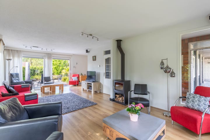 Foto 8 van de Tureluur 1