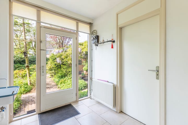 Foto 15 van de Tureluur 1