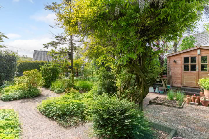 Foto 19 van de Tureluur 1