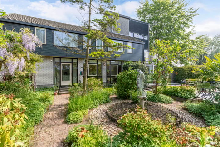 Foto 20 van de Tureluur 1